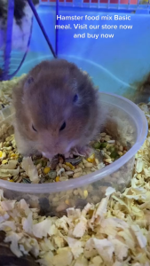 Snack Hamster Food Natural Hamsters Assorted Vegetable Food Mix Snack