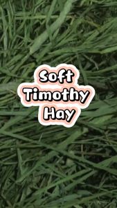 [24HR SHIP] PREMIUM SOFT TIMOTHY HAY 5KG Imported Timothy Hay Lucerne Hay Rabbit Guinea Pig Chinchilla Food 兔子 天竺鼠 牧草 龙猫