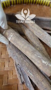 Masoi Kering 100gr atau Mesoyi Organik Asli Papua