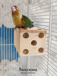 Xuanfeng Tiger Skin Peony Parrot Bird Bite Grinding Mouth Toy Stand Pole Platform Natural Original Wooden Supplies Pine