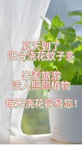 2/4/8/12/16 Heads Automatic Watering Pump Controller Timer Garden Tool Plant Flower Sprinkler Drip Irrigation Device