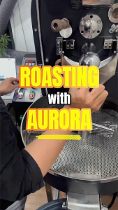 Cà Phê Ủ Lạnh Fine Robusta Gia Lai - Cold Brew Gói Ngâm Pha Sẵn Tiện Lợi Nguyên Chất - Túi 250 Gram