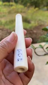 once gg pipa asli lokal panjang 11cm bulat mulus asli