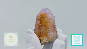 SG LOCAL - Authentic Spirit Quartz 南非精靈水晶