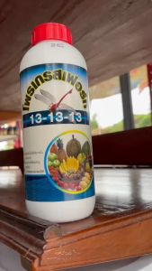 ปุ๋ยน้ำ 13-13-13 BK ขนาด 1 ลิตร สูตรเสมอ เร่งการเจริญเติบโตอย่างสมดุลของลำต้น ใบ ดอก ช่วยฟื้นต้นหลังการเก็บเกี่ยว