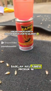 RAPID KILLER SPRAY LIPAS PEST CONTROL UBAT LIPAS KERETA  KERETA ANTI CRAWLING INSECT RACUN LIPAS  UBAT (apple 150ml)