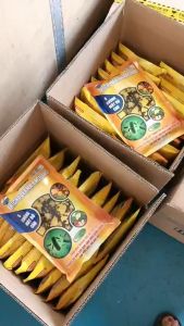 TRICHODERMA BACILLUS 1kg 5 Chủng Nấm Mật Độ Cao Bột Tan  Trừ Nấm Bệnh ủ phân hữu cơ cải tạo đất