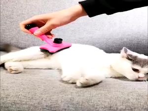 Automatic Self Cleaning Pet Dog Cat Comb / Deshedding Grooming Comb Brush (Small)