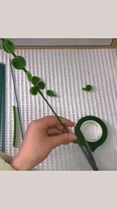 ก้านดอกไม้สีเขียว และ ฟลอร่าเทป งานดอกไม้ประดิษฐ์ งานฝีมือ DIY ดอกไม้วัสดุที่ทําด้วยมือ ลวดก้านดอก พร้อมส่งจากไทย