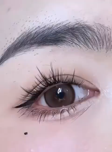 Korean Look Bulu Mata Palsu dengan Lem - Eyelash Ekstension Fake Lashes Trilogy 10 Baris Bulu Mata Palsu Berperekat Berkualitas Tinggi