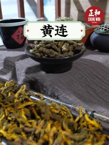 黄连 100g Golden Thread Herba Cina kering