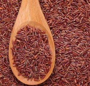 benih padi  darat  beras merah asli  untuk ditanam didarat atau  lahan kering