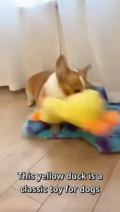 Barking Duck Plush Toy Energy Drainage Pet Sleeping Companion Toy Squeaky Plush Chew Teething Toy