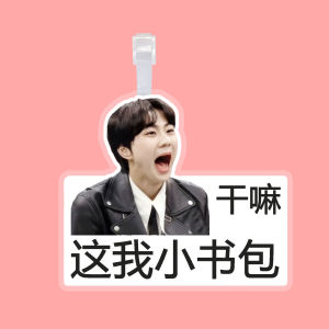 JUNGWON Luggage Tag Backpack Pendant Boarding Pass Keychain Bag Accessory without Brand Registration Trademark