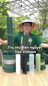 Trụ rêu bán nguyệt cao cấp VIETPOT có nhét giá thể rêu rừng hỗ trợ rễ phát triển cây kiểng lá