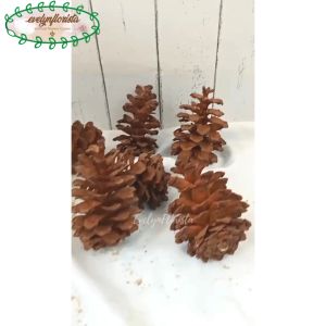 Bunga Kering Hias Bunga Pinus Coklat Mekar Artificial Aksesoris Hampers Aesthetic