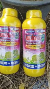 ชุดคุมหญ้าอ้อยปลูกใหม่ Pendimethalin + Imazapic แพนดิ + อิมาซาฟิก “ก่อนวัชพืชงอก (pre-emergence)” ที่ใช้หลังปลูกอ้อย ช่วยควบคุมหญ้าและวัชพืชได้ดี ลดความหนาแน่นของวัชพืช และช่วยให้อ้อยเติบโตได้ดี