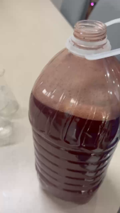 Men Vi Sinh Quang Hợp PSB Làm Trong Nước Sạch Đáy Khử Mùi Bể Cá Hồ Nuôi Thuỷ sản - Can 5 Lít