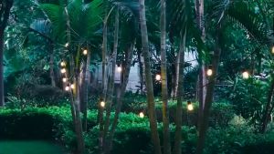 Fitting Lampu Gantung Outdoor & Lampu Hias Gantung Cafe: Panduan Lengkap