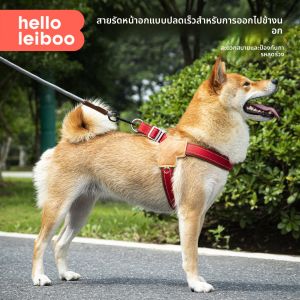 HELLOLEIBOO | Dog Leash & Chest Harness for Small & Medium Dogs