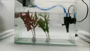 3 in 1 Top Filter Aquarium Air Aerator Oxygen Pump 12W 15W 20W 30W 45W