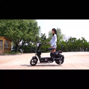 จักรยานไฟฟ้า Electric Bicycle รถไฟฟ้าผู้ใหญ่ มีขาปั่น จักรยานไฟฟ้าผู้ใหญ่ ความเร็ว 35 กิโล/ชม รับประกันสินค้า1เดือน