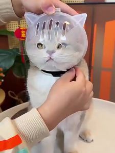 Petone dOrage | Anti Licking Anti Biting Pet Cone Collar Ball Shape