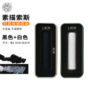 Soluble Black And White Charcoal Sticks for Sketching And Painting Professional Grade Drawing Tools Iron Box Packaging