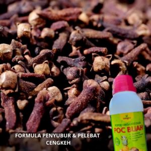 Pupuk Penyubur Cengkeh / Pupuk Cair Pelebat Cengkeh / Pupuk Buah Cengkeh Pelebat dan Penyubur