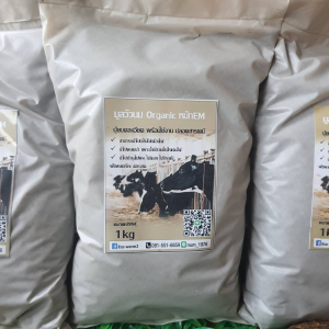 ขี้วัวนม ปุ๋ยหมักขี้วัวนม ปุ๋ยคอก ออแกนิค