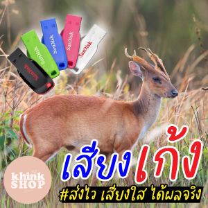 เสียงต่อเก้ง เมมเสียงเก้ง แฟลชไดร์ฟเสียงต่อเก้ง เสียงเก้ง