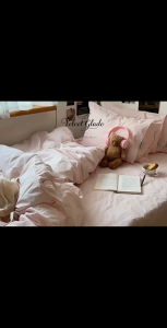 Velvet Glade 890TC Pink Bed Sheet Set with Pillow Cover Girls Color Cotton Breathable full size