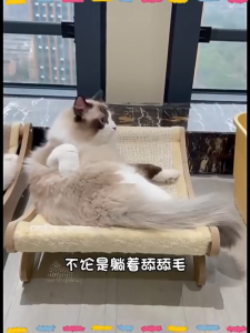 เก้าอี้แมว เตียงแมว กระดานแมว Scratcher Sisal Cat Scratcher ไม่มีความเสียหาย เตียงแมวขนาดใหญ่ เก้าอี้โซฟาแมว