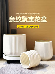 ถ้วยปลูกพืชขนาดใหญ่แบบพลาสติกสำหรับปลูกดอกไม้ในบ้าน ถ้วยปลูกพืชขนาดใหญ่สำหรับตกแต่งสวน ถ้วยปลูกพืชแบบโปร่งแสง