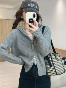 Womens Short Knitted Hoodie Double Zipper Base Layer Top Spring Autumn Fashion Outerwear Korean Style Regular Fit Long Sleeve