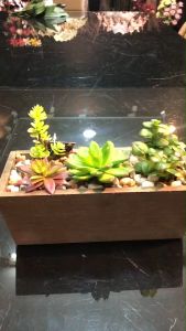 กระถางแคคตัสปลอม ต้นไม้ปลอมมินิมอล