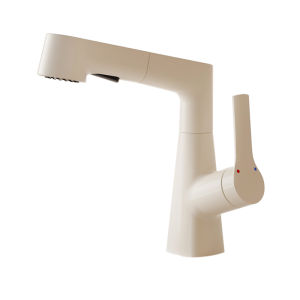 QIANMUYU | Pull-out Cold & Hot Water Laundry Sink