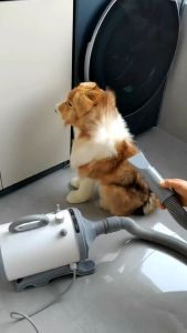 6800W 2 sa 1 Pet Hair Dryer Power Hair Blow Dryer Pet Dryer Blower Dog Dryer Pet Fast Drying Hair Dryer Grooming Warm Wind Fast Blow-dryer Pet Grooming Warm Wind Fast Blow-dryer Dog Cat Grooming Dryer Blower Low Noise Pet Grooming Supplies For Dog and Cat