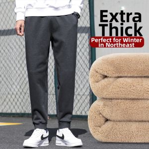 Thick Lamb Fleece Mens Sweatpants