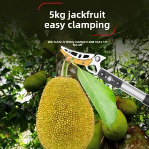 MONLEYTA | Multi-Function Fruit Picking Tool with Extendable Pole
