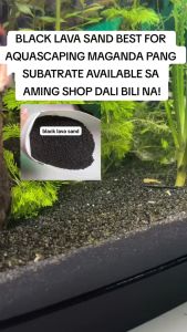 1kg Black Sand Lava River Sand Fish Aquarium Aquascape Aquasacaping Aquarium Fish Accessories