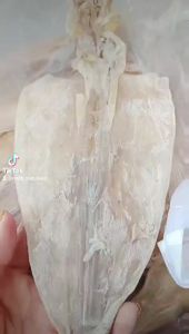 1KG KHÔ MỰC LOẠI (20-25 CON/1kg)THỊT MỰC DÀY SIÊU NGỌT VỰA KHÔ PHI YẾN