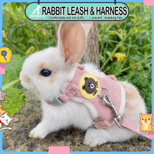 Rennas Rabbit Leash With Harness: Pet Care for Rabbits