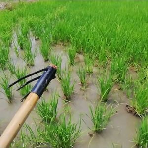 6 หุน เหล็กซ่อมข้าวย้ายข้าว - ขนาดสีขาว (แบบใหม่)