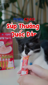 [CHÍNH HÃNG] Súp Thưởng Cho Mèo INABA CIAO CHURU 😼 Nhập Khẩu Thái Lan (4 thanh/gói)