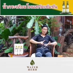 น้ำกระเทียมโทน สกัดเข้มข้น WATERHERB ความดัน ไขมัน น้ำตาลลด ขิง มะนาว กระเทียม ชุด 4 ขวด ( 1 ขวด ปริมาณ 300 ml.)