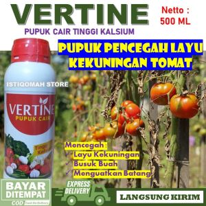 Pupuk VERTINE KALSIUM 500ml Pupuk Pencegah Layu Kekuningan Daun Tanaaman Sayuran Tomat Obat Semprot Mengatasi Layu Fusarium Pada Tanaman Tomat Paling Manjur Murah Pupuk Anti Layu Tanaman Tomat Terbaik