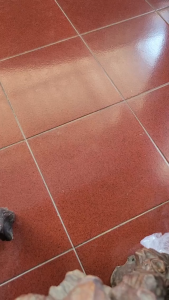 Loyang kotak senyawa TEBAL TINGGI/ Loyang petak press / Loyang ambon / Loyang kue oven kotak persegi