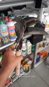 Arit Sabit Padi Rumput & Panen Sayuran Baja Asli