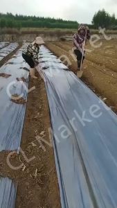 Plastic Mulch 2.65ft x 600m 20 Microns HEAVY DUTY Crop cultivation Crop protection Agricultural appliances
